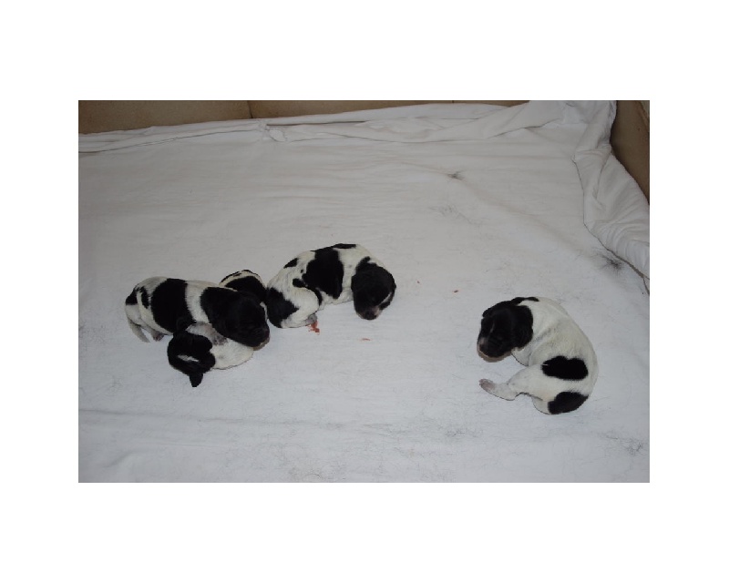photos